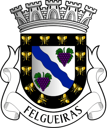 Brasão do município de Felgueiras
