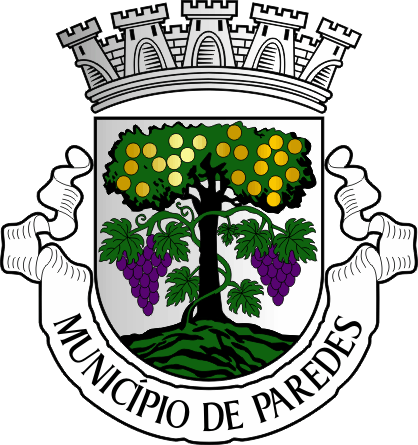 Brasão do município de Paredes